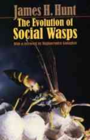 Hunt : The Evolution of Social Wasps :