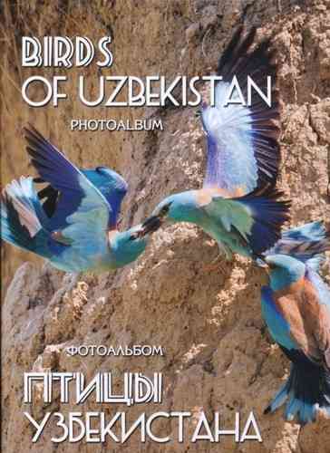 Kashkarov, Nedosekov: Birds of Uzbekistan : Photoalbum