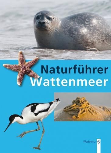 Borcherding: Naturführer Wattenmeer