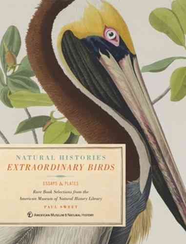 Sweet: Extraordinary Birds