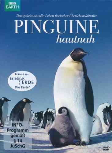 Downer: Pinguine hautnah - Das geheminisvolle Leben tierischer Überlebenskünstler