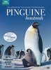 Downer: Pinguine hautnah - Das geheminisvolle Leben tierischer Überlebenskünstler