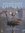 Mackrill, Appleton, McIntyre: The Rutland Water Ospreys