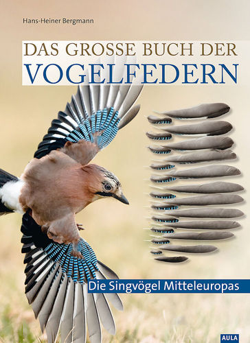 Bergmann: Das große Buch der Vogelfedern - Die Singvögel Mitteleuropas