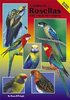Pringle, Donely: A Guide to Rosellas and their Mutations - Revised Edition -