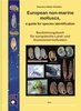 Welter-Schultes: European non-marine Molluscs