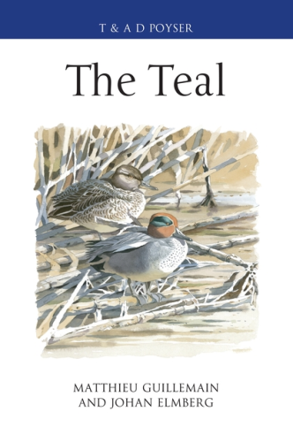 Guillemain, Elmberg: The Teal