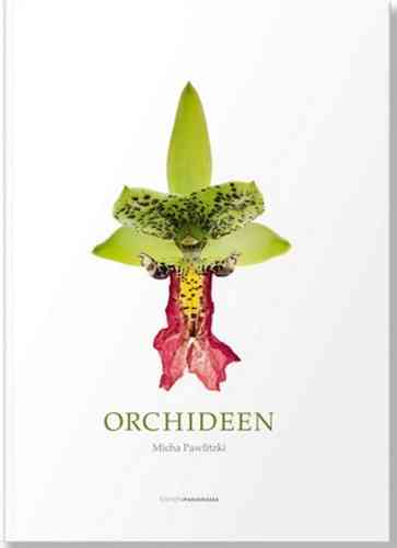 Pawlitzki: Orchideen