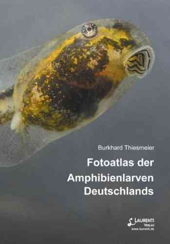Thiesmeier: Fotoatlas der Amphibienlarven Deutschlands