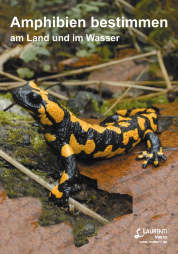 Thiesmeier: Amphibien bestimmen - am Land und im Wasser - Amphibienführer Deutschland