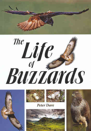 Dare: The Life of Buzzards