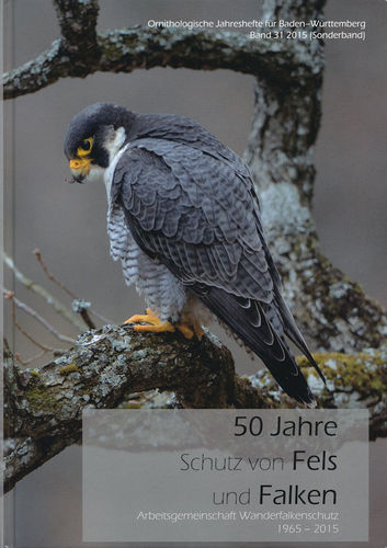 Rau, Lühl, Becht (Hrsg.): 50 Jahre Schutz von Fels und Falken