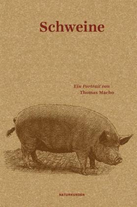 Macho: Schweine - Ein Portrait von Thomas Macho