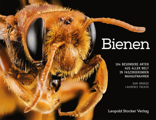 Droege, Packer: Bienen - 104 besondere Arten aus aller Welt in faszinierenden Nahaufnahmen