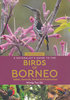 Tsu Shi: A Naturalist's Guide to the Birds of Borneo