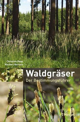 Rapp, Bartsch: Waldgräser - Ein Bestimmungsführer