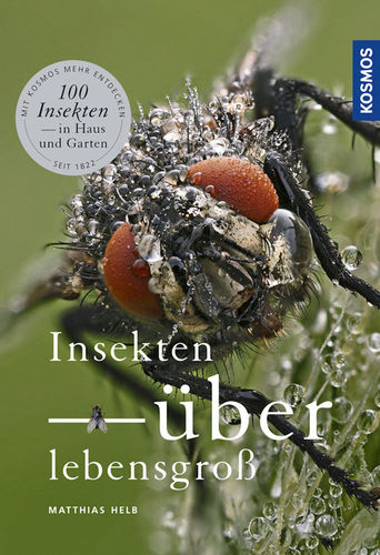 Helb: Insekten überlebensgroß - 100 Insekten in Haus und Garten