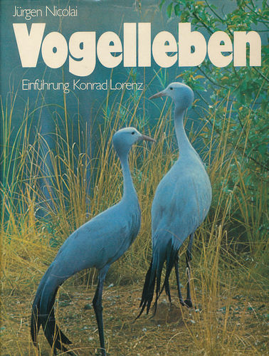 Nicolai: Vogelleben