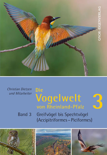 Dietzen et al: Die Vogelwelt von Rheinland-Pfalz, Band 3 - Greifvögel - Spechte
