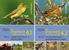 Dietzen und Mitarbeiter: Die Vogelwelt von Rheinland-Pfalz, Band 4 Sperlingsvögel (Passeriformes)