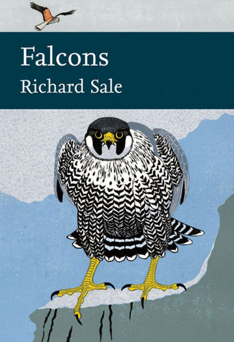 Sale: Falcons