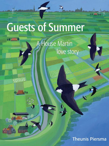 Piersma: Guests of Summer - A House Martin Love Story