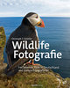 Robiller: Wildlife-Fotografie - Frei lebende Tiere in Deutschland und Europa fotografieren