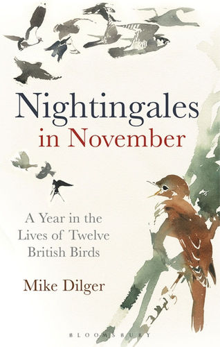 Dilger: Nightingales in November - A Year in the Lives of Twelve British Birds