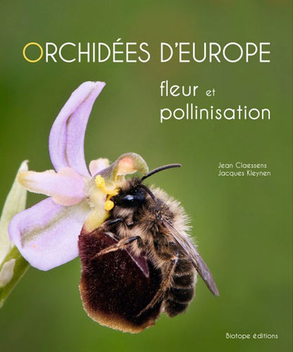Claessens, Kleynen Orchidées d'Europe - Fleur et pollinisation