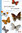 Leraut: Butterflies of Europe and neighbouring regions
