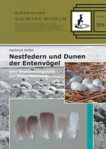 Kolbe: Nestfedern und Dunen der Entenvögel  - eine Bestimmungshilfe zur Nesterkennung