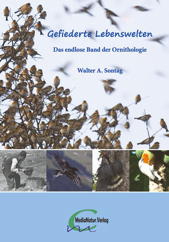 Sontag: Gefiederte Lebenswelten - Das endlose Band der Ornithologie - eBook-Ausgabe (PDF)