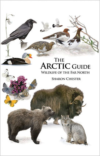 Chester: The Arctic Guide - Wildlife of the Far North
