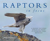 Forsman: Raptors in Focus - A Quest to Find Birds of Prey in Europe and Beyond