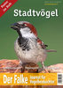 Redaktion »Der Falke«: Stadtvögel  - Lebensräume - Strategien - Entwicklung
