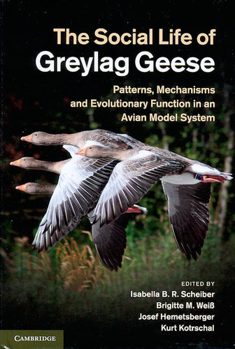 Scheiber, Weiß, Hemetsberger, Kotrschal: The Social Life of Greylag Geese