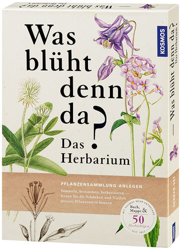 Grappendorf:  Was blüht denn da? - Das Herbarium