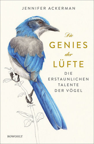 Ackerman: Die Genies der Lüfte - Die erstaunlichen Talente der Vögel