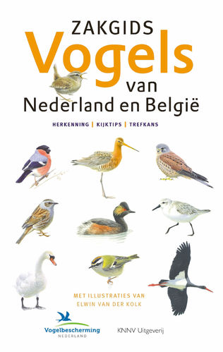 Hoogenstein, Meesters, Kooijmans: Zakgids vogels van Nederland en België