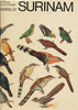 Haverschmidt: Birds of Surinam