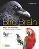 Emery: Bird Brain - Vögel mit Köpfchen - Die Erforschung gefiederter Intelligenz