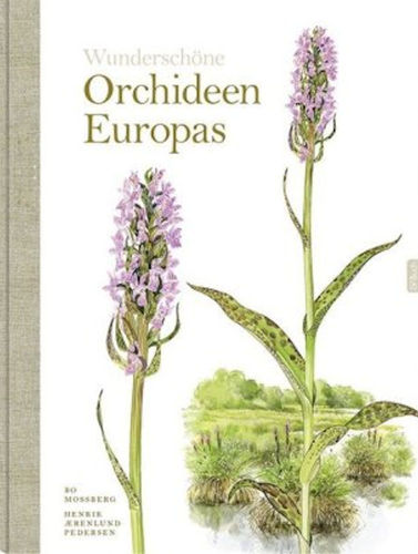 Mossberg, Pedersen: Wunderschöne Orchideen Europas
