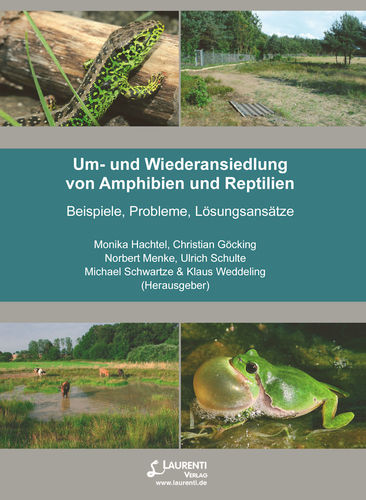 Hachtel (Hrsg.) et al: Um- und Wiederansiedlung von Amphibien und Reptilien