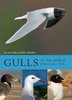 Malling Olsen: Gulls of the World - A Photographic Guide
