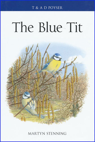 Stenning: The Blue Tit
