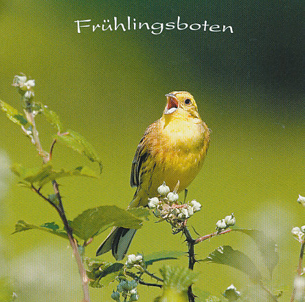 Schubert: Frühlingsboten