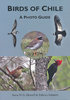 Howell, Schmitt: Birds of Chile - A Photo Guide
