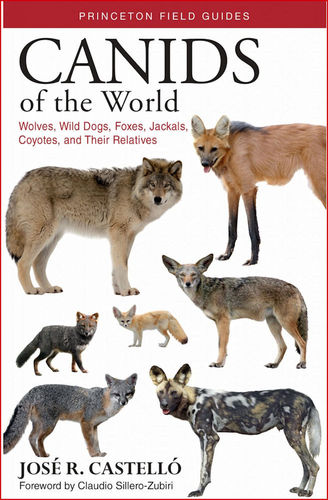 Castelló: Canids of the World - Wolves, Wild Dogs, Foxes, Jackals, Coyotes, and Their Relatives
