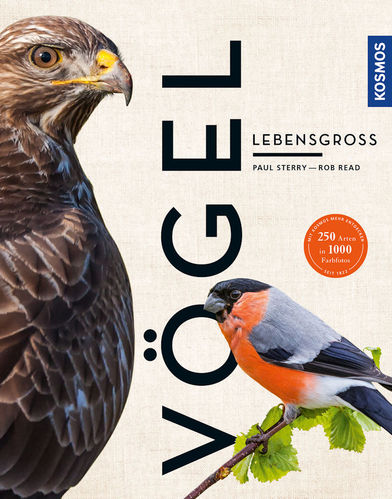 Sterry, Read: Vögel – Lebensgroß