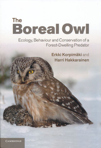 Korpimäki, Hakkarainen: The Boreal Owl
